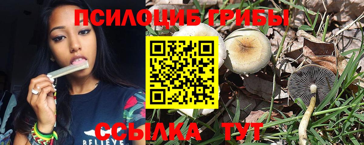 даркнет сайт  Галлюциногенные грибы Psilocybe  Вход с VPN  Галлюциногенные грибы мухоморы  Зима 
