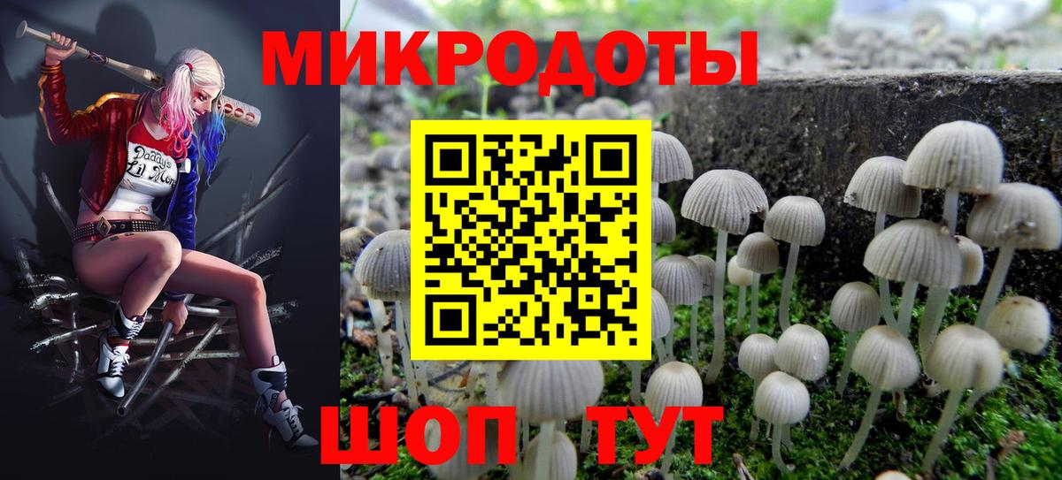 Галлюциногенные грибы MAGIC MUSHROOMS Зима